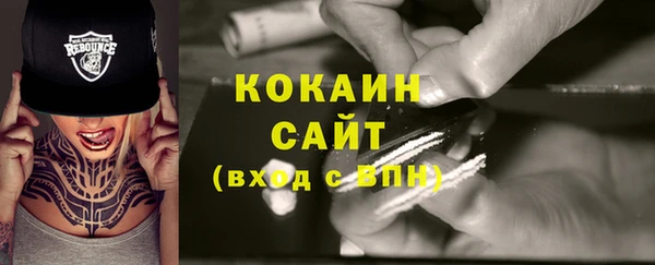 прущие грибы Карталы