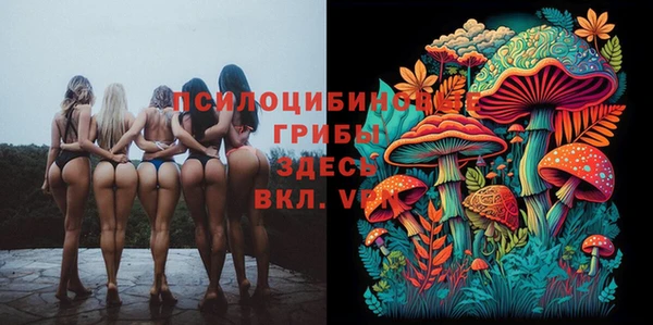 не бодяженный Краснотурьинск