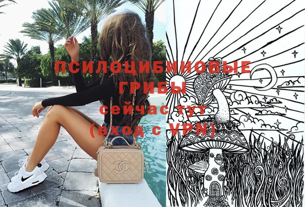 прущие грибы Касимов