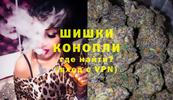 прущие грибы Касимов