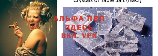 прущие грибы Касимов