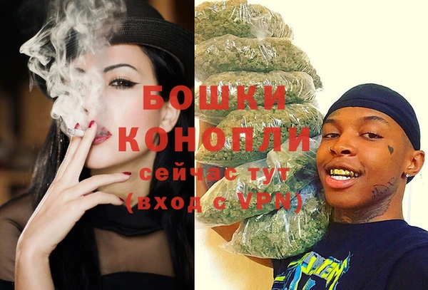 прущие грибы Карталы