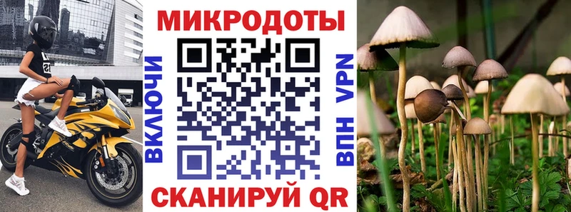 Псилоцибиновые грибы мицелий  Купить закладки  Красный Холм 